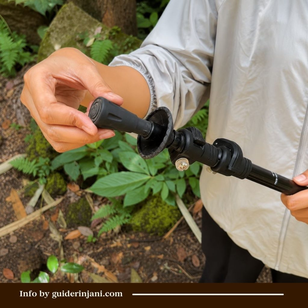 How to Use Trekking Poles
