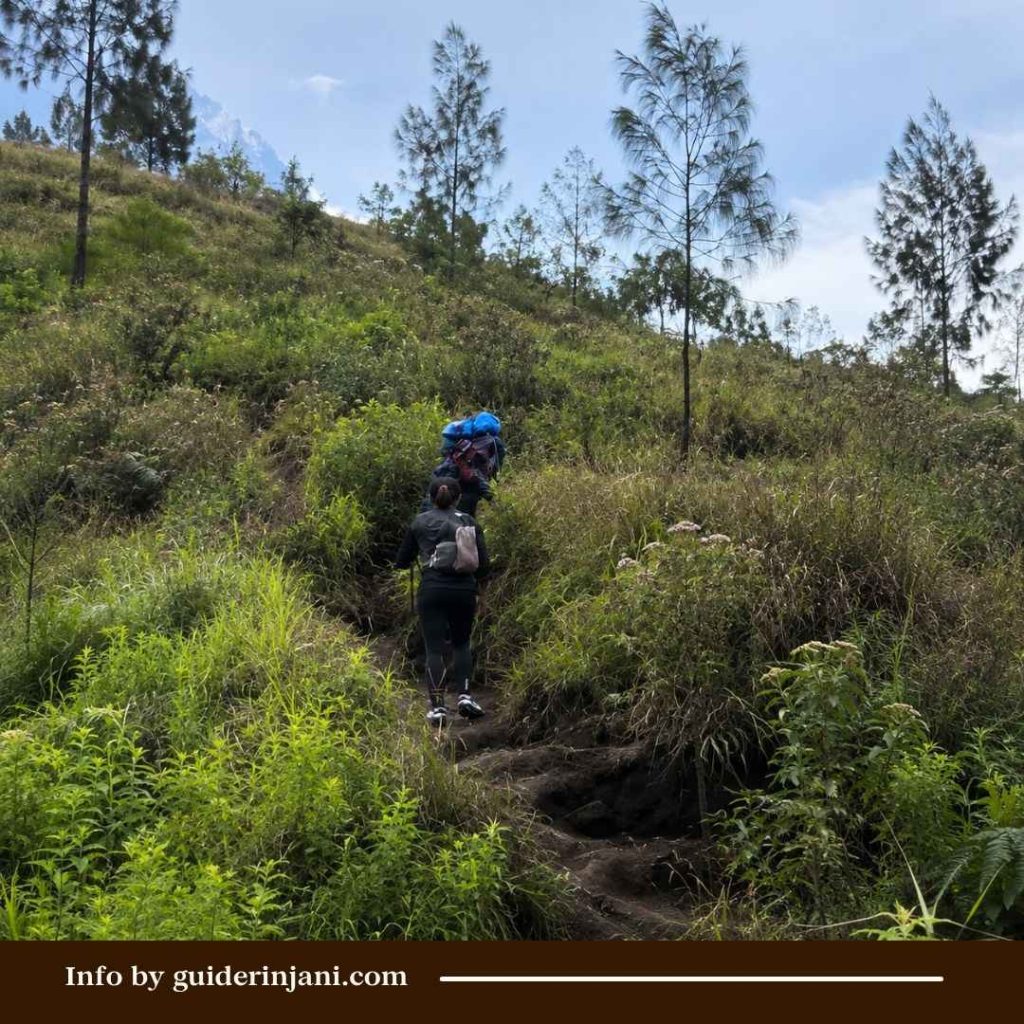 Mount Rinjani Hiking Summary