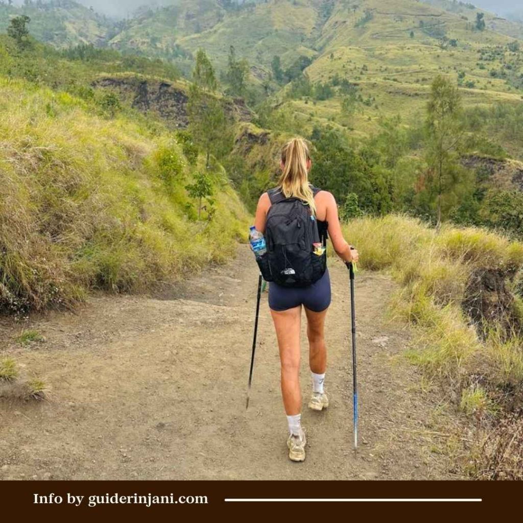 Trekking Poles